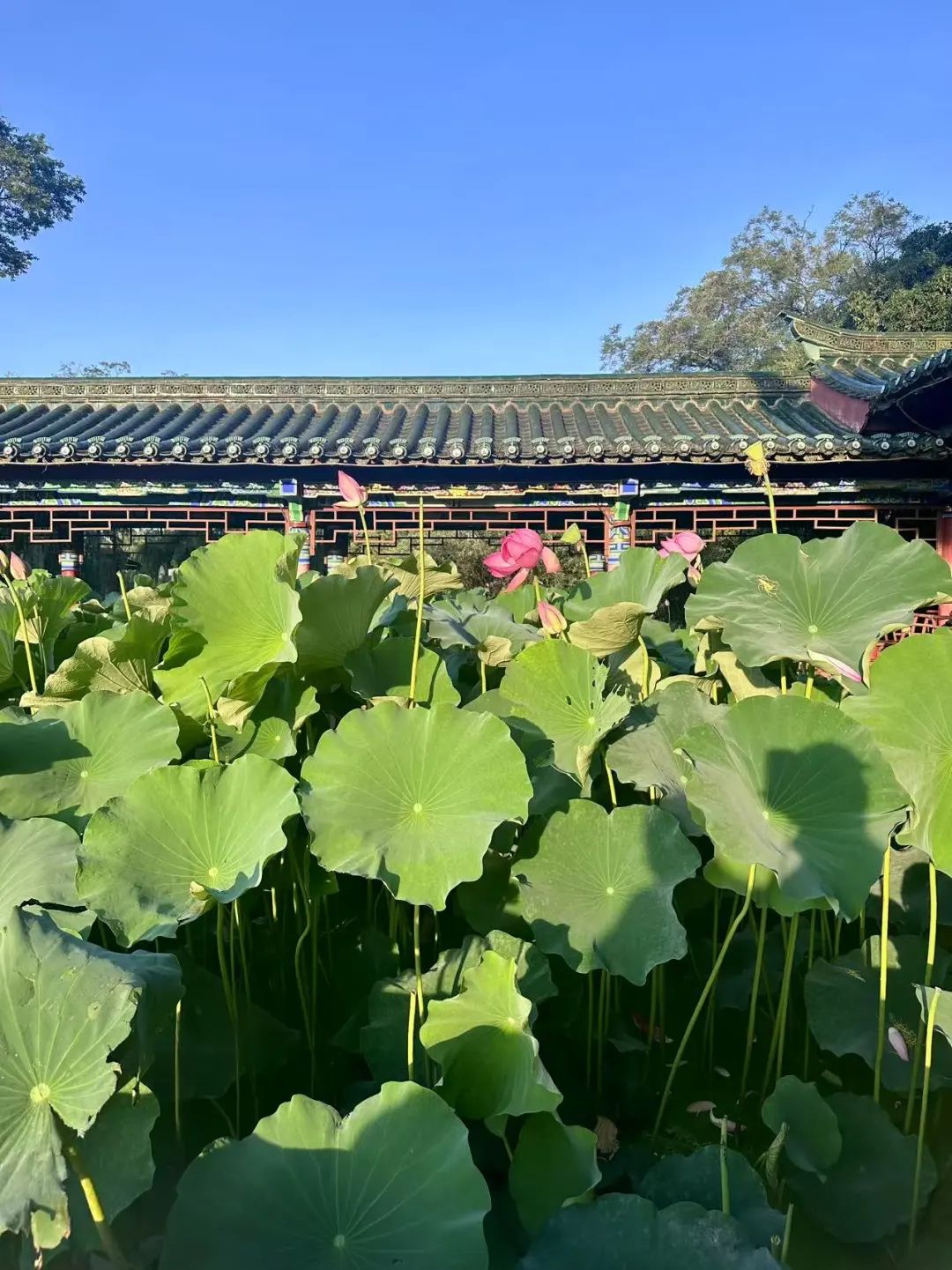 昆明西山发布