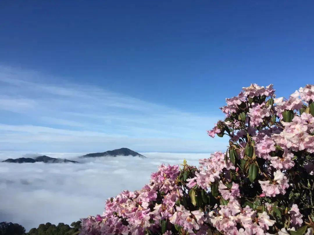 文旅云南