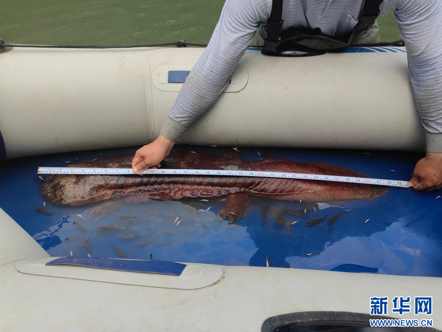 美丽云南微科普