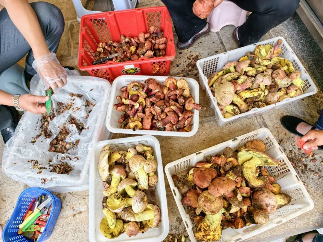 晋宁 诗意的栖居地