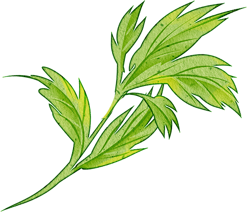 昆明市中医医院