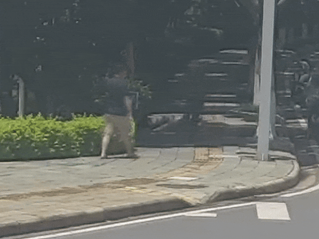 云南政法