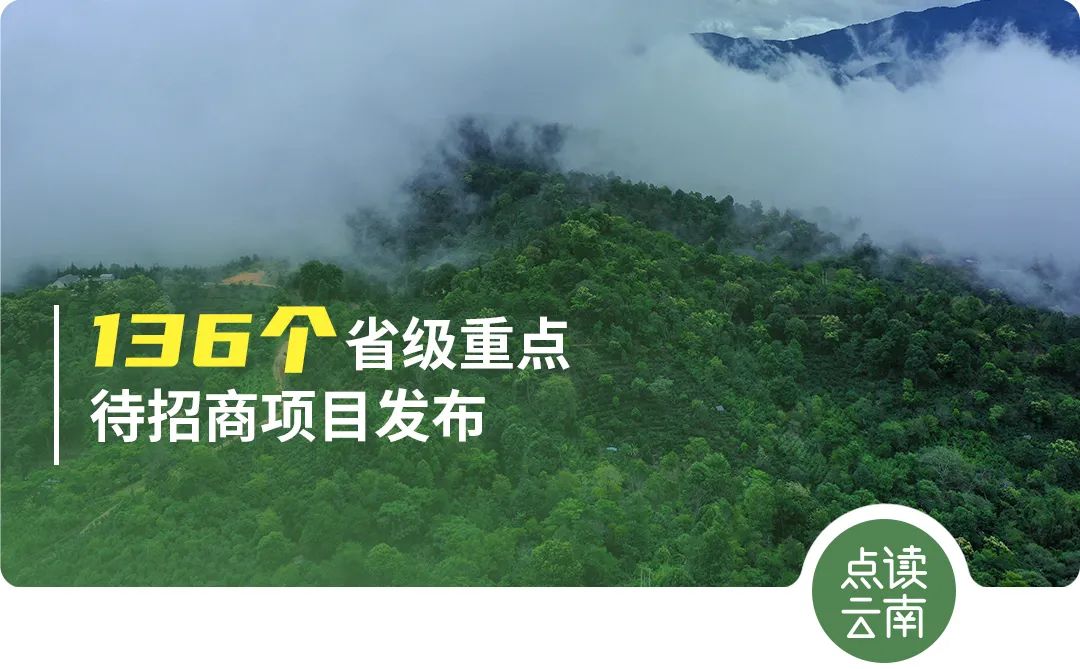 云南省人民政府