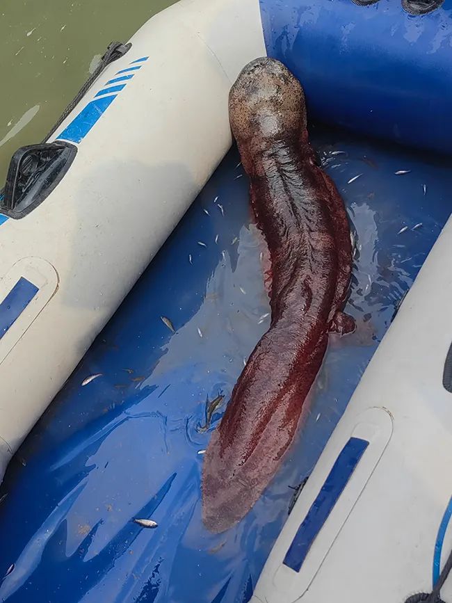 美丽云南微科普