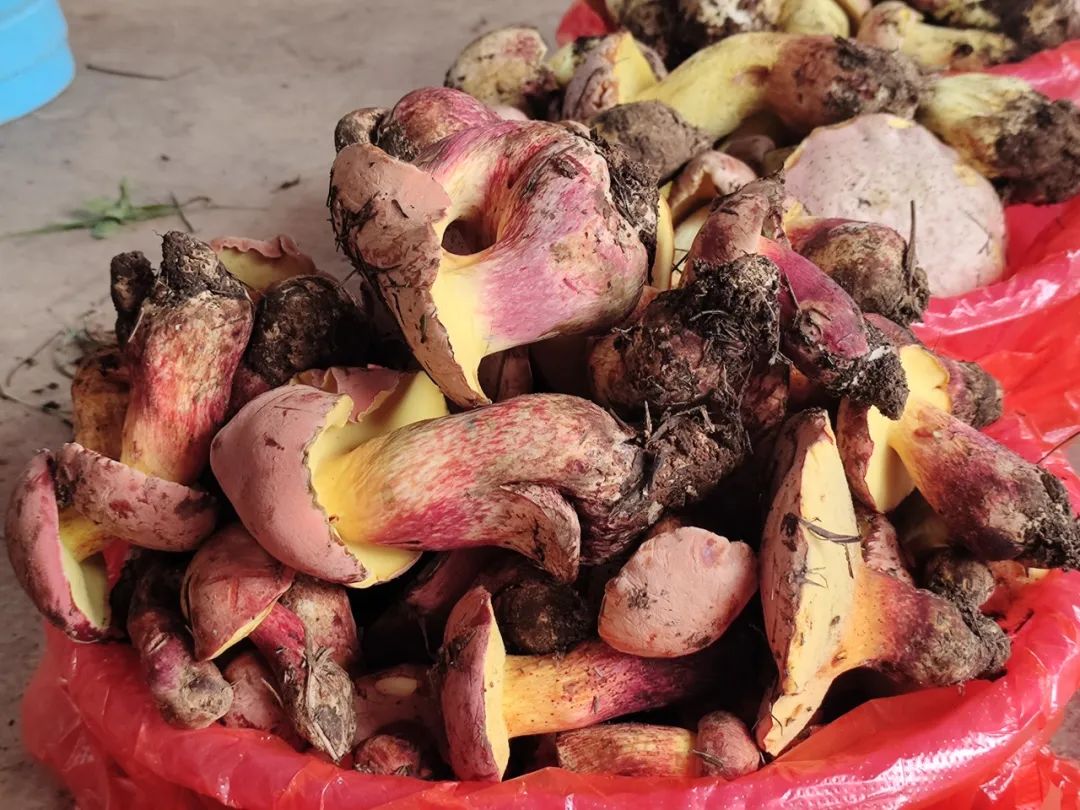 晋宁 诗意的栖居地