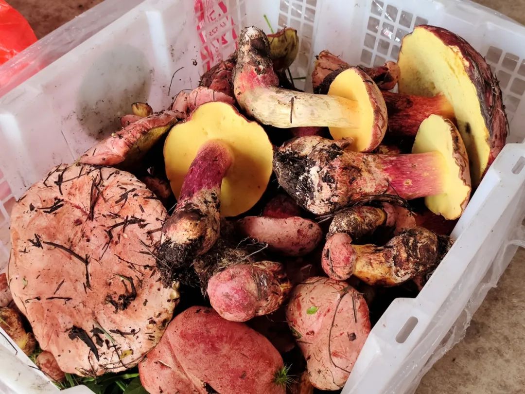 晋宁 诗意的栖居地