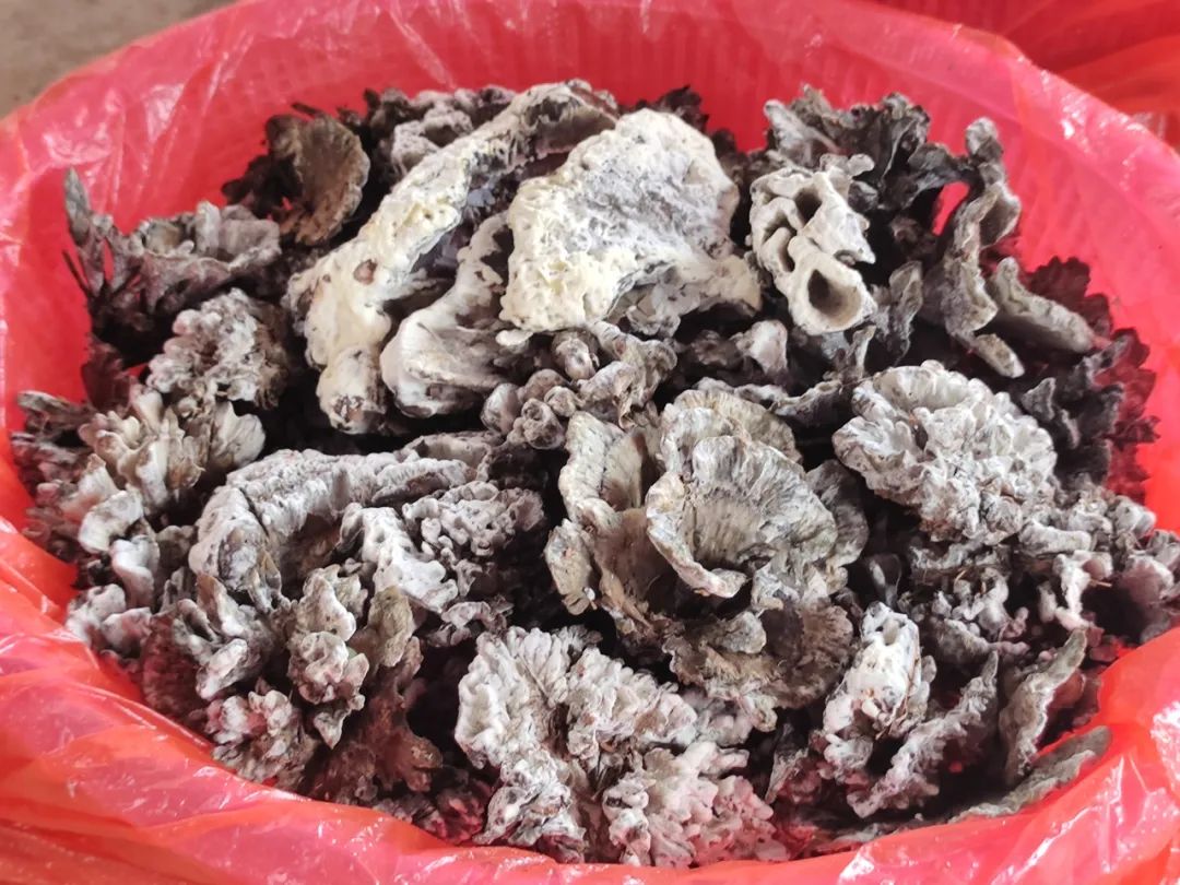 晋宁 诗意的栖居地