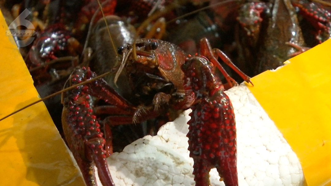 8099999街头巷尾微信