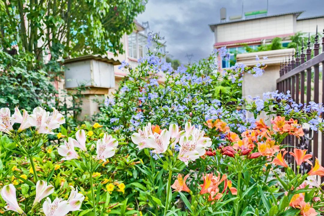 晋宁 诗意的栖居地