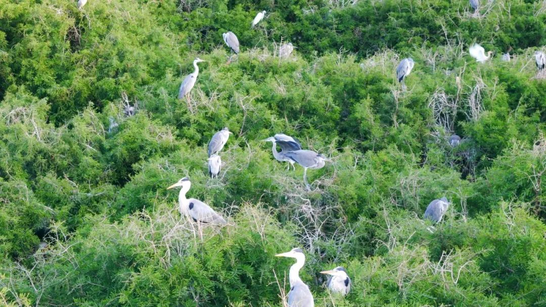 晋宁 诗意的栖居地