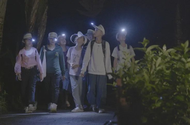 西双版纳望天树景区