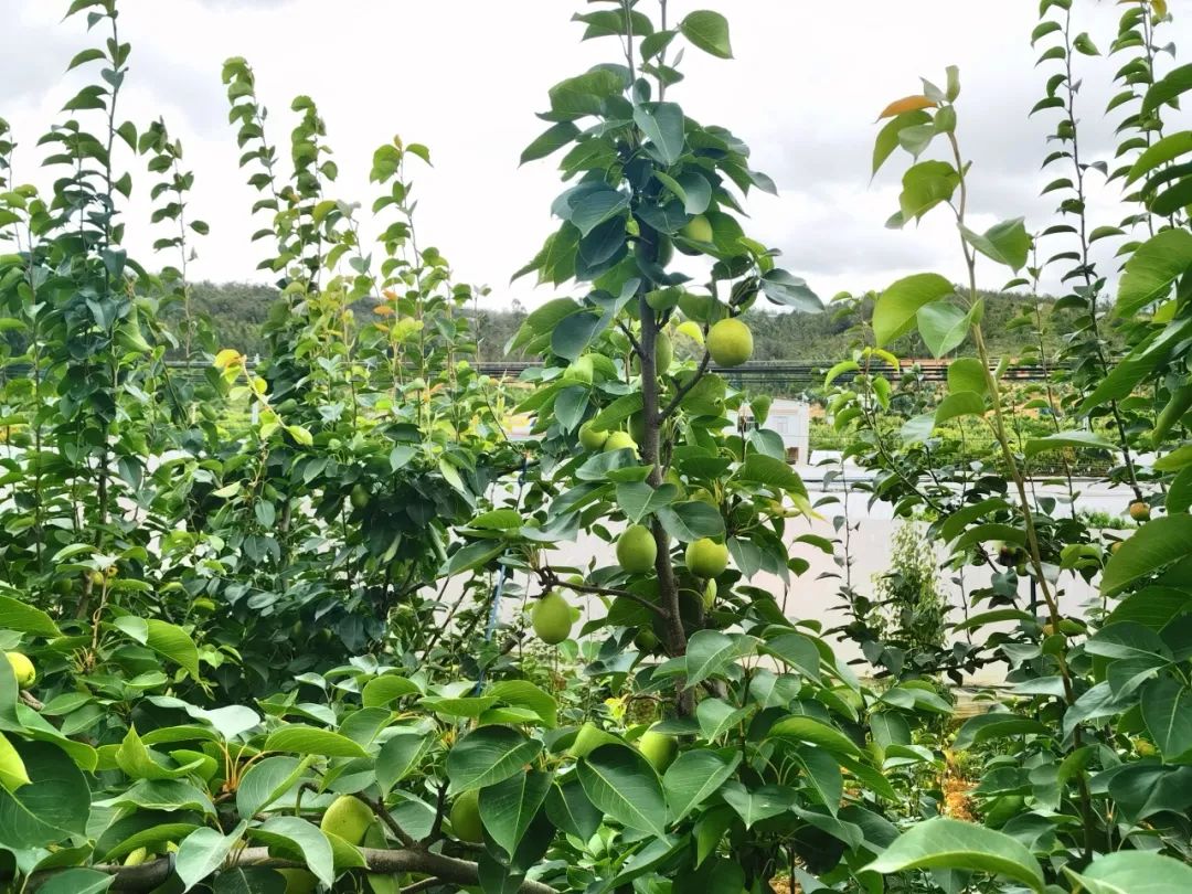 晋宁 诗意的栖居地