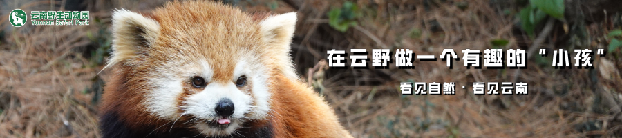 云南野生动物园
