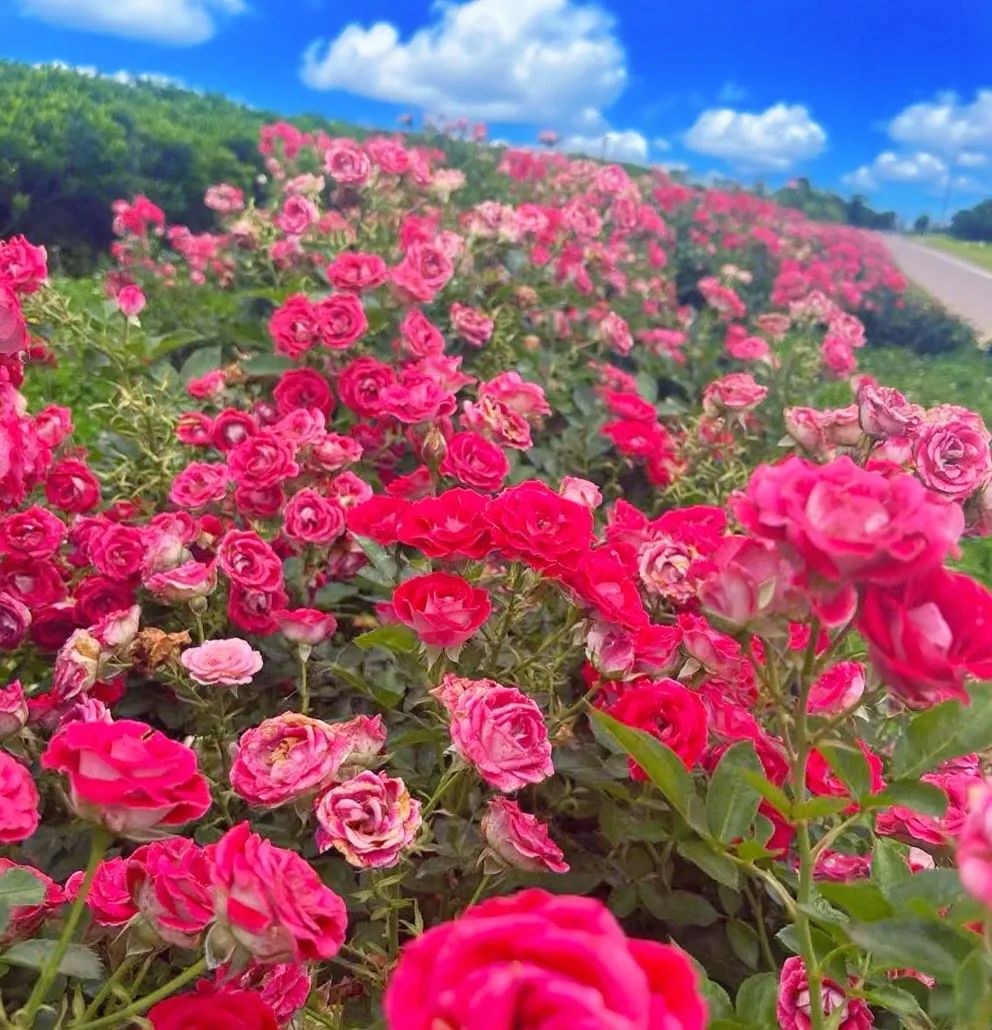 晋宁 诗意的栖居地