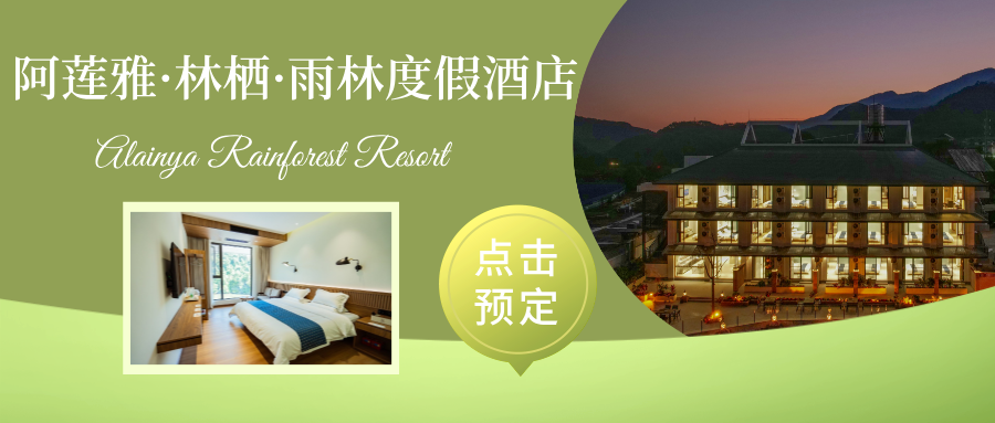 西双版纳望天树景区