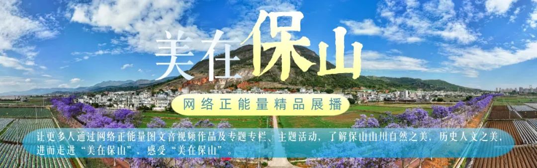 保山新闻网