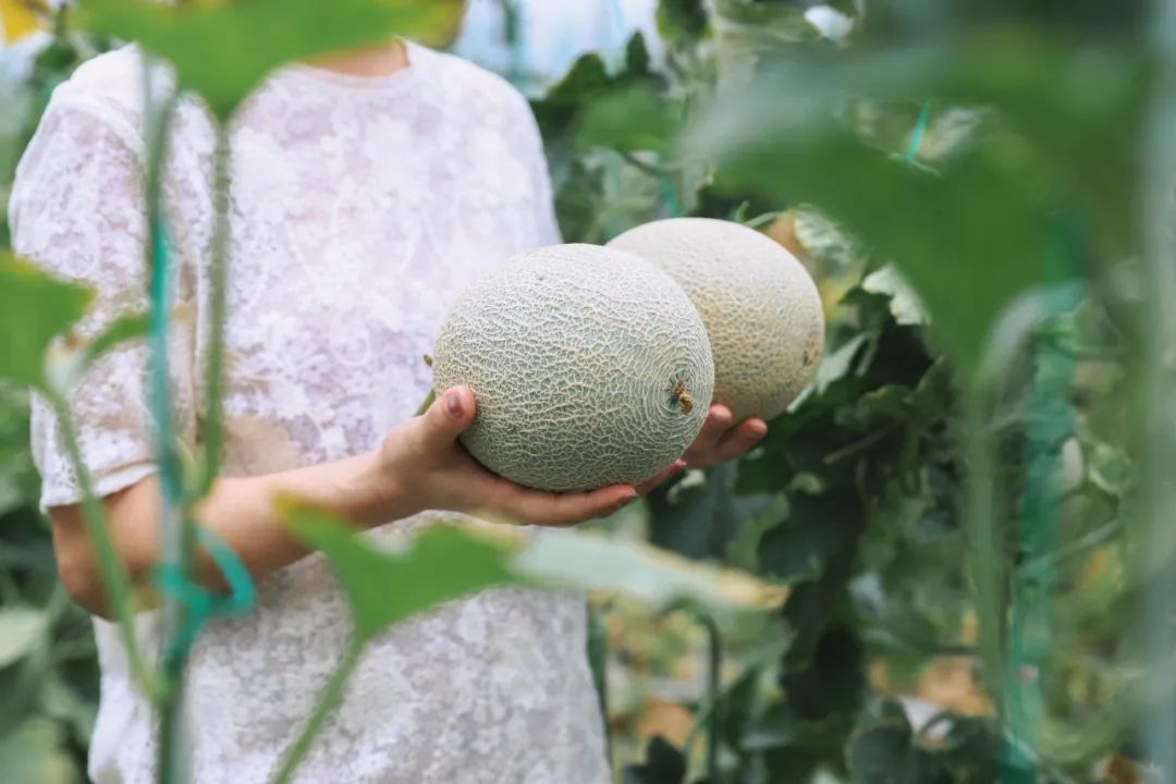 保山新闻网