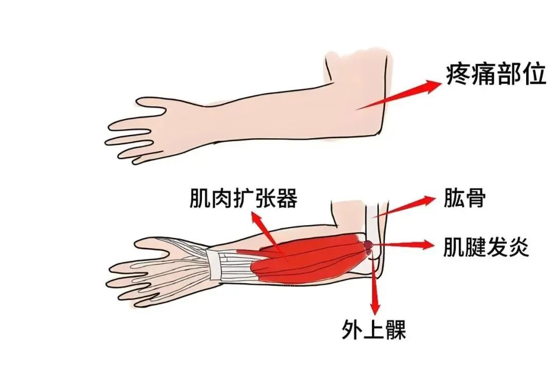 云南省中医医院