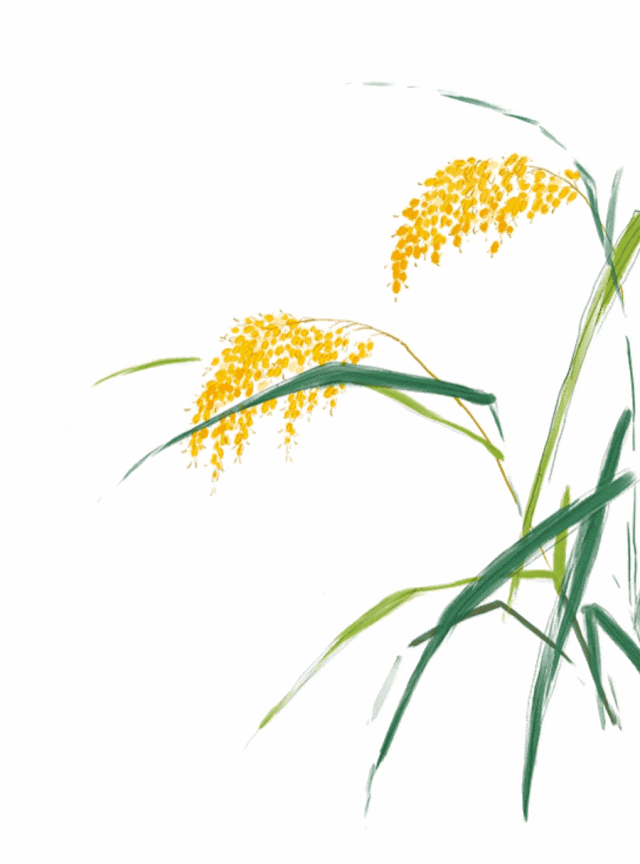 昆明市中医医院