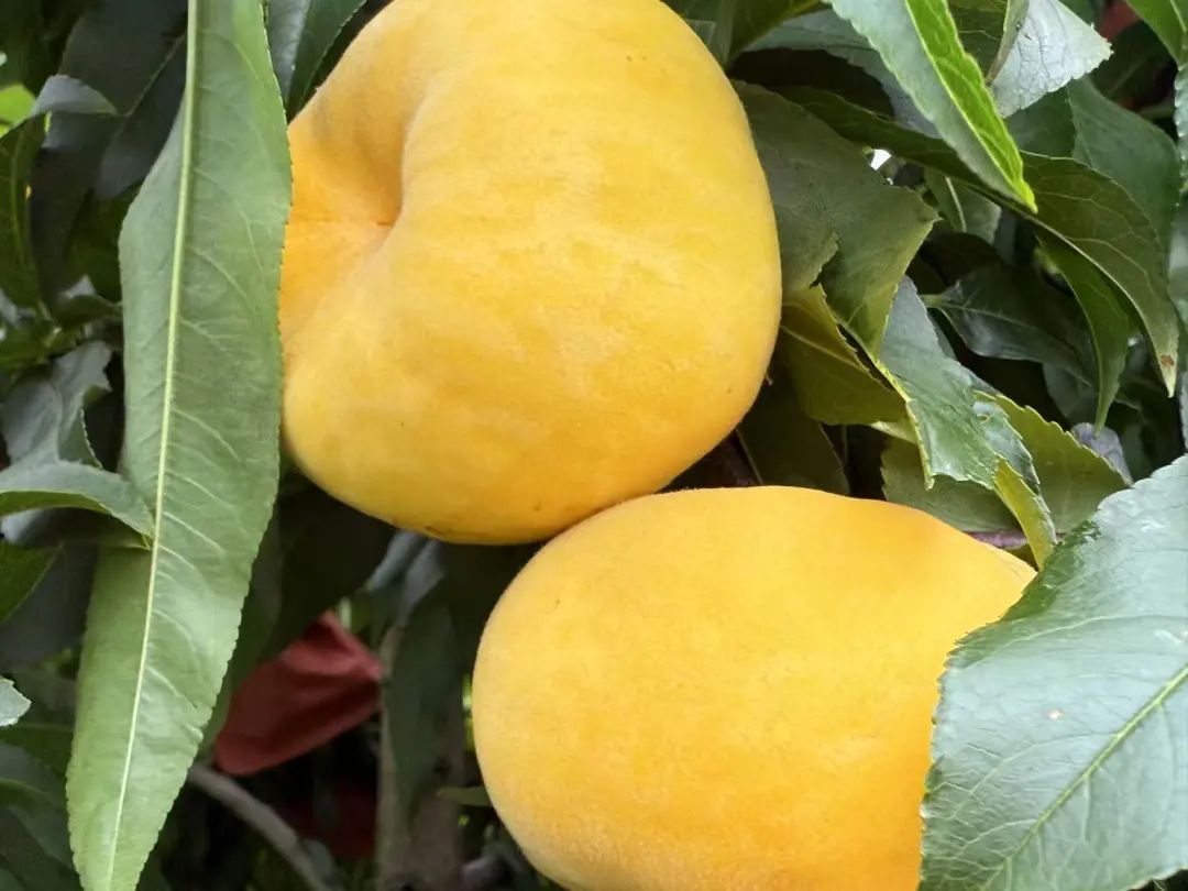 晋宁 诗意的栖居地