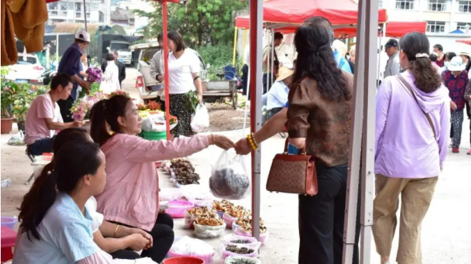 宜良之窗