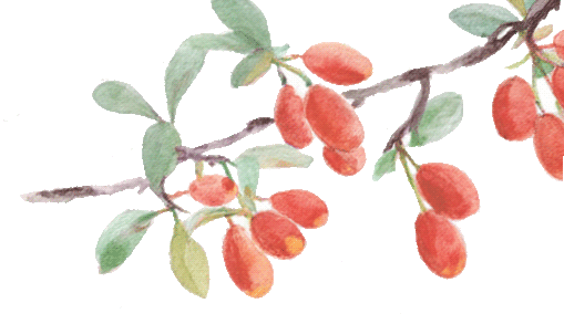 昆明阳宗海风景名胜区