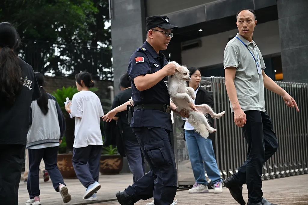 8099999街头巷尾微信