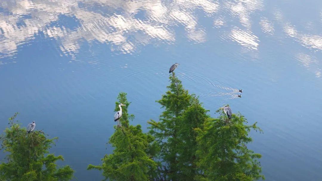 晋宁 诗意的栖居地