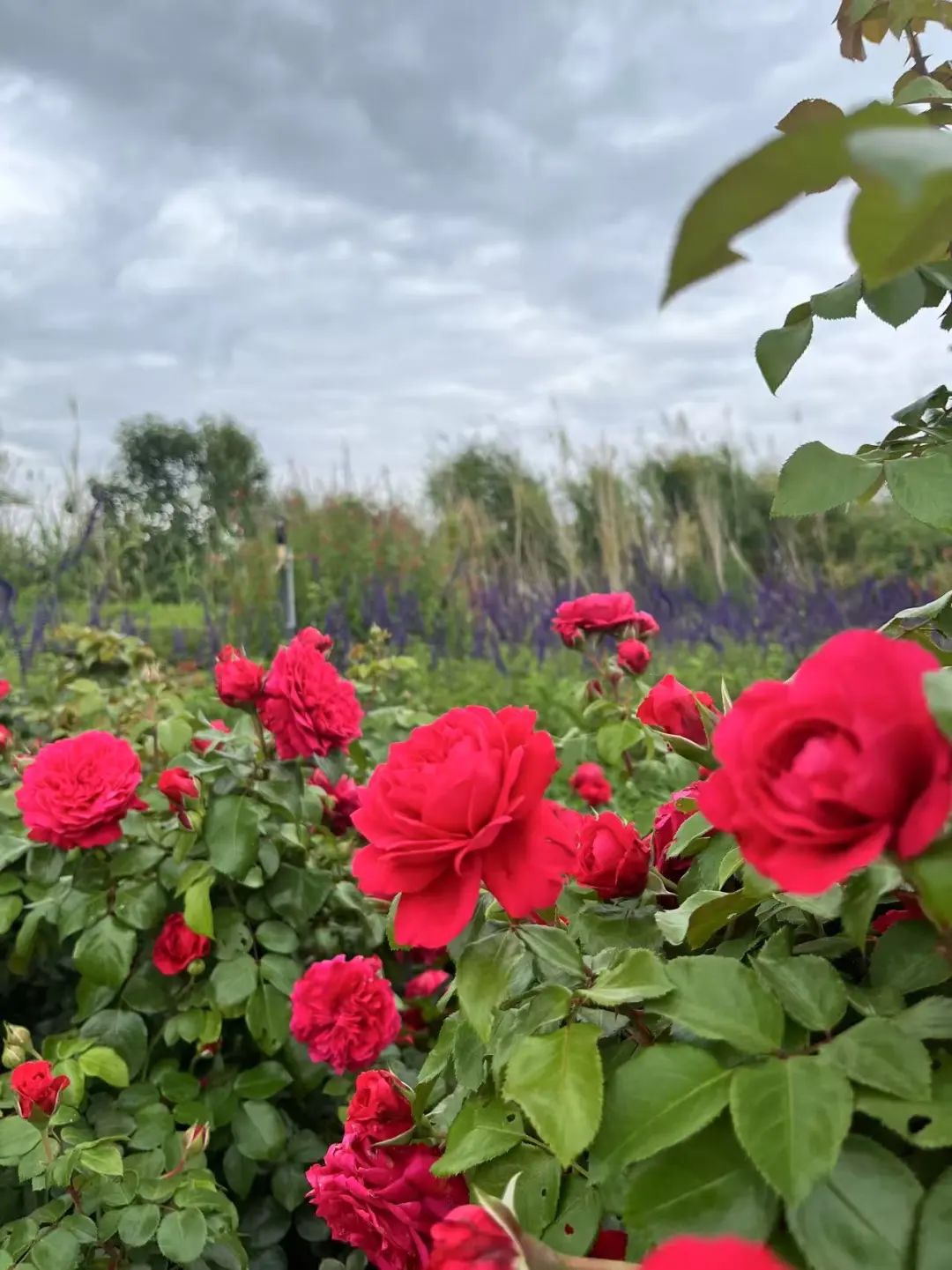 晋宁 诗意的栖居地