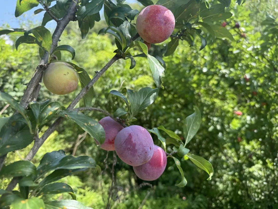 晋宁 诗意的栖居地
