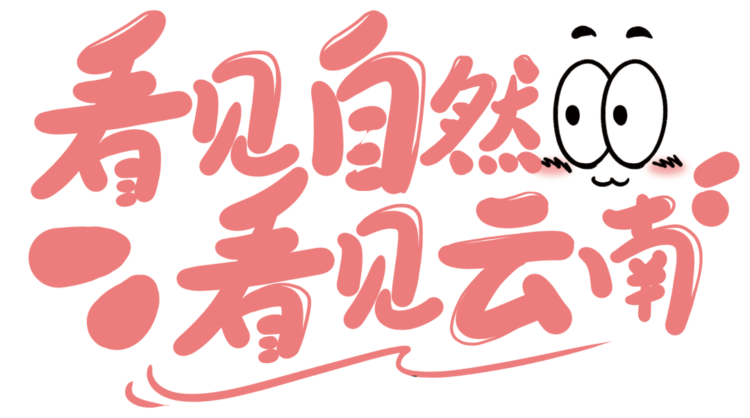 云南野生动物园
