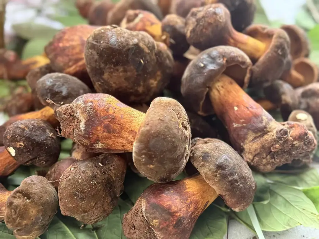 晋宁 诗意的栖居地