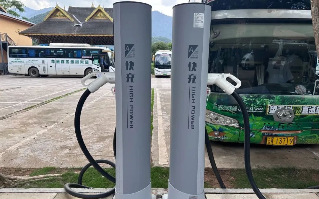 西双版纳望天树景区