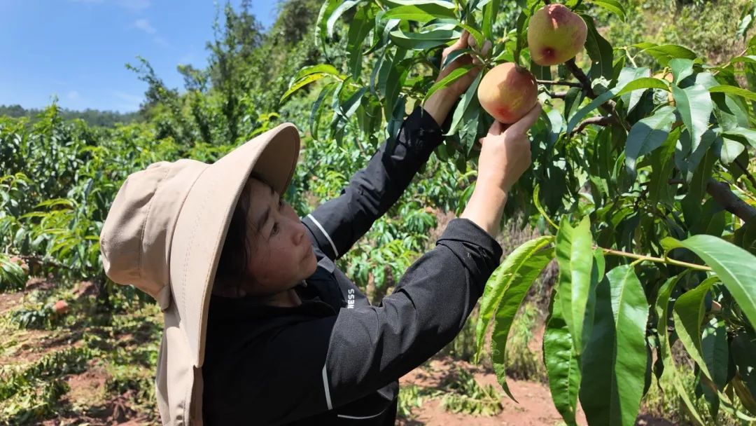 晋宁 诗意的栖居地