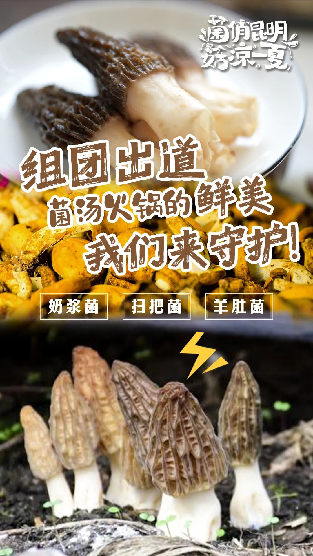 昆明文旅