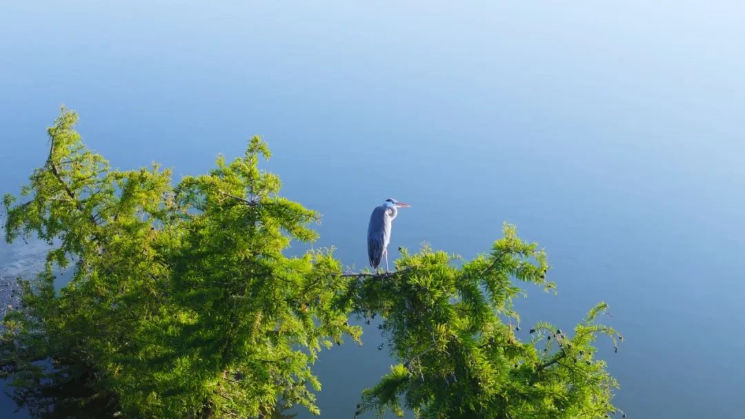 晋宁 诗意的栖居地