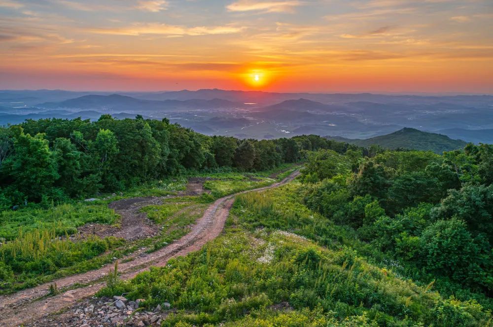 云南广播电视台