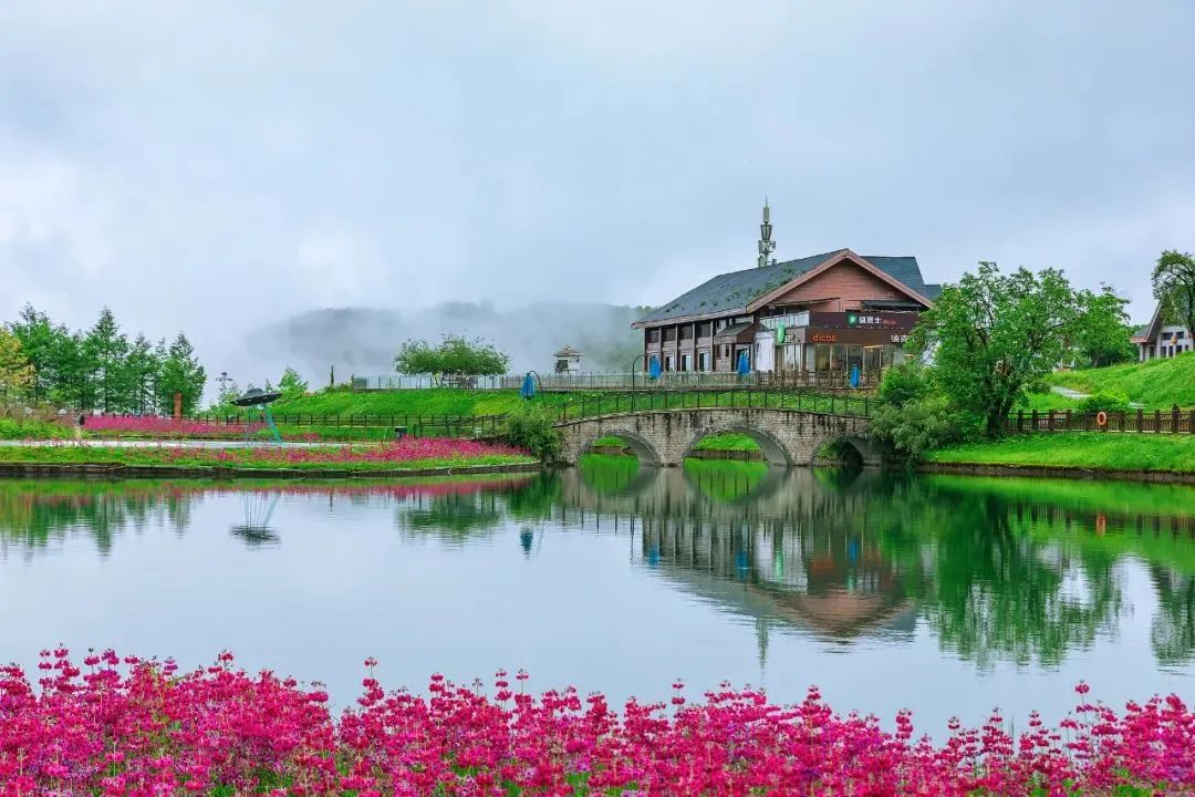 云南广播电视台