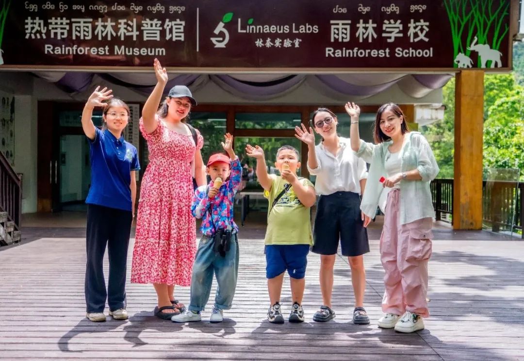 西双版纳望天树景区