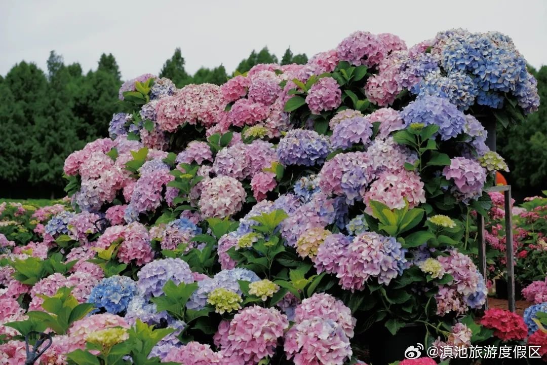 滇池旅游度假区