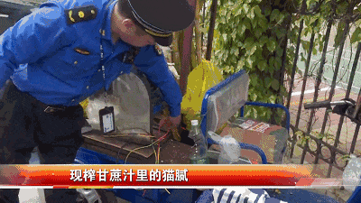 8099999街头巷尾微信