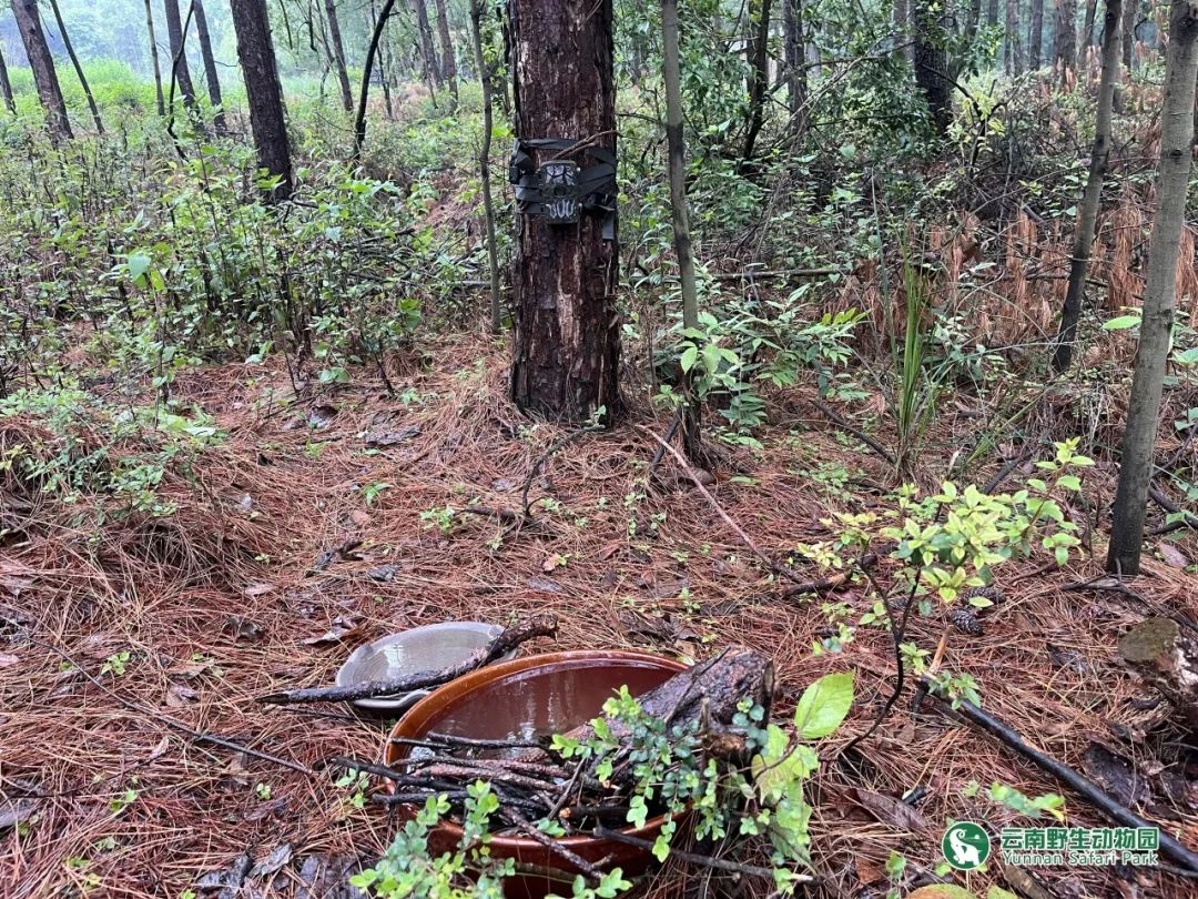 云南野生动物园
