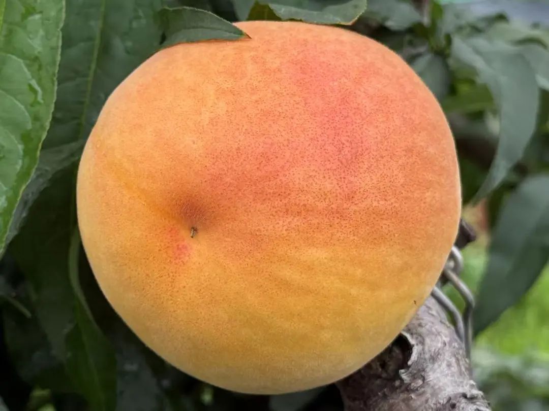 晋宁 诗意的栖居地