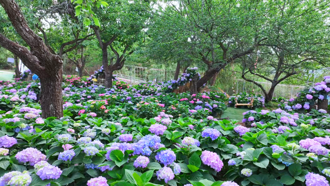 昆明文旅