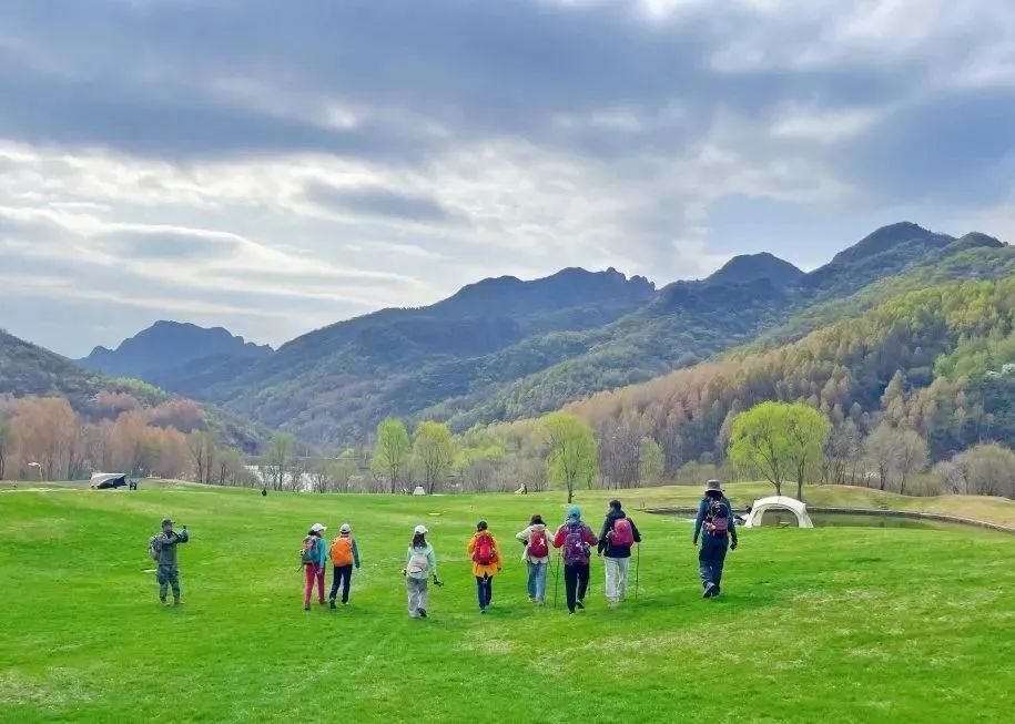 云南广播电视台