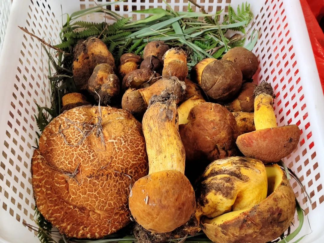 晋宁 诗意的栖居地