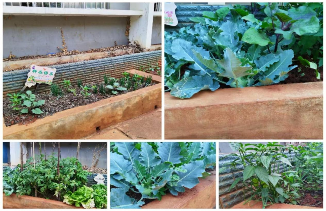 昆明西山教育体育