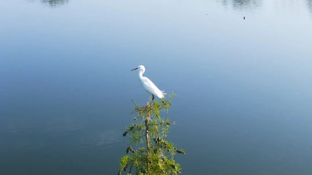 晋宁 诗意的栖居地
