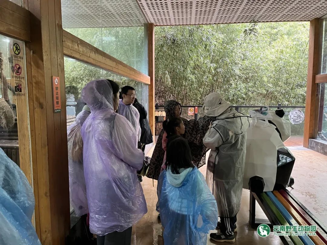 云南野生动物园