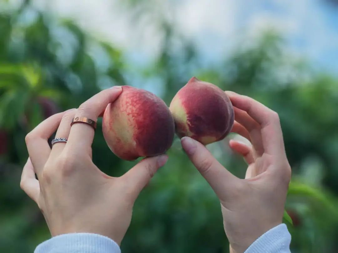 晋宁 诗意的栖居地